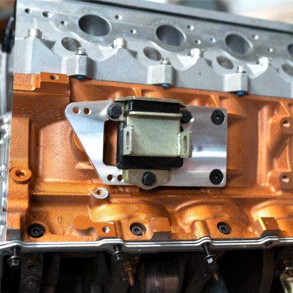 LS Motor Mount Adapter Plates – Raw - Imagen de 2